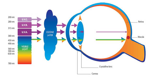 solar-radiation-effects-eyes-w625 Solar UVA, UVB, UVC - effects on our eyes