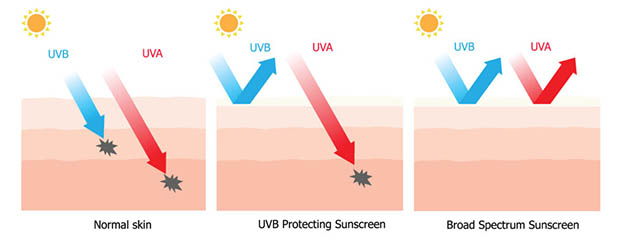 ultraviolet-radiation-uva-uvb-w625 UVA, UVB, UVC - ultraviolet spectrum